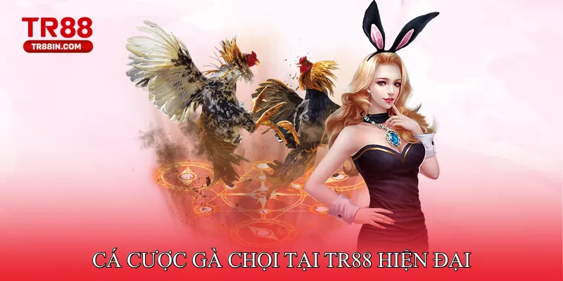 Cá cược gà chọi hiện đại