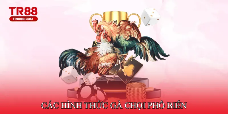 Các hình thức gà chọi phổ biến tại hệ thống